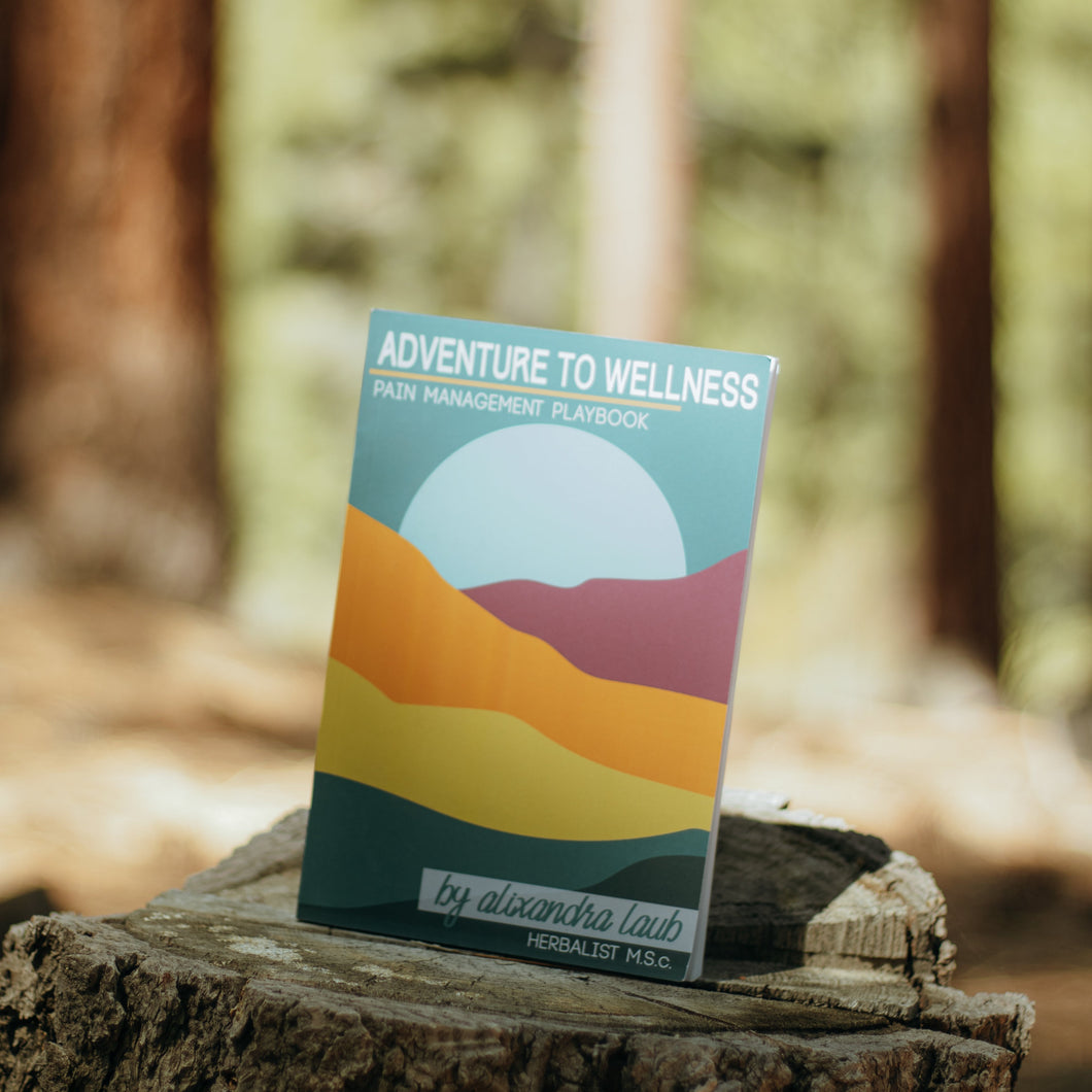 Adventure to Wellness : Pain Management Playbook