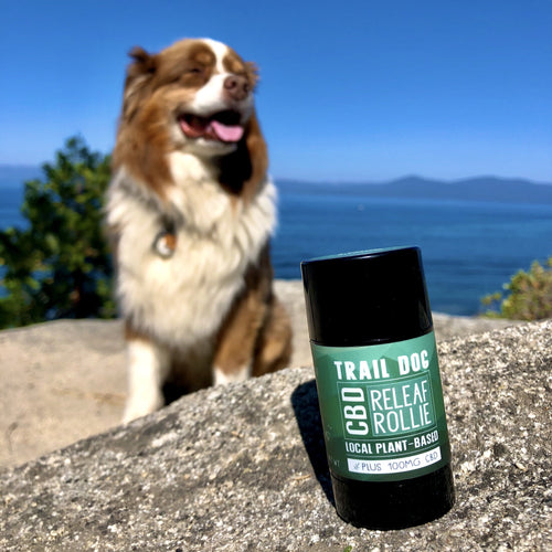 TRAIL DOG ROLLIE - Tahoe Petrichor